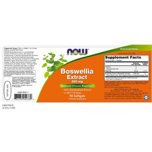 Boswellia Extract 500mg 90Caps