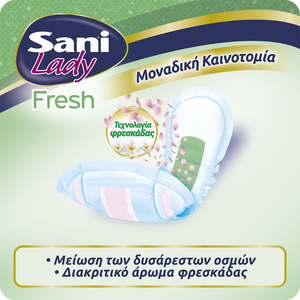 Lady Σερβιέτες Ακράτειας Fresh Super Νο5 20τμχ