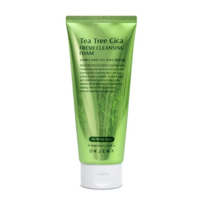 Tea Tree Cica Fresh Cleansing Foam 180ml