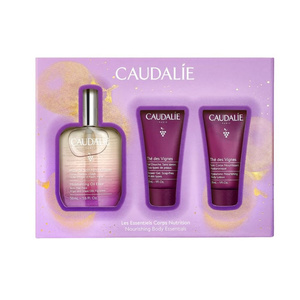 Promo Xmas Moisturising Oil Caudalie Promo Xmas Moisturising Oil Elixir Λάδι Προσώπου, Σώματος & Μαλλιών 50ml & The des Vignes Shower Gel 30ml & The des Vignes Hyaluronic Nourishing Body Lotion 30ml